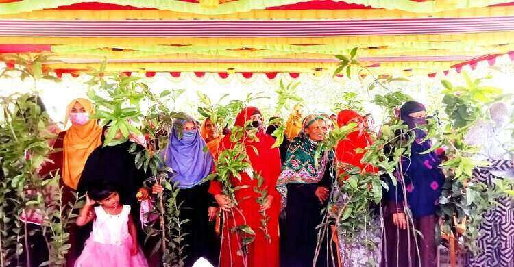 জাতীয় শোক দিবস উপলক্ষে ১৯ হাজার চারা বিতরণ